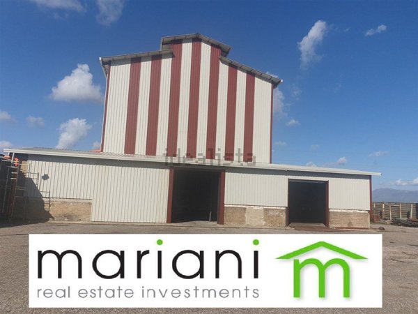 capannone in affitto a Colleferro