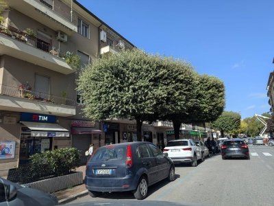 negozio in affitto a Colleferro