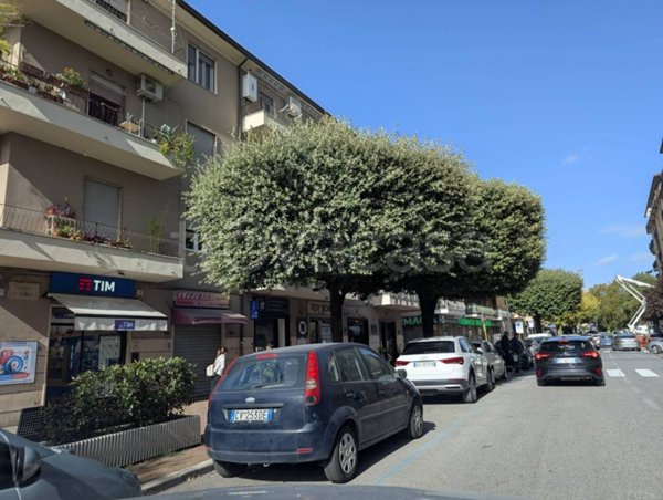 negozio in affitto a Colleferro