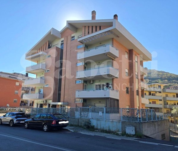 appartamento in affitto a Colleferro