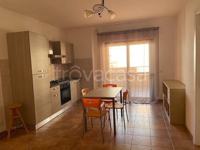 appartamento in affitto a Colleferro