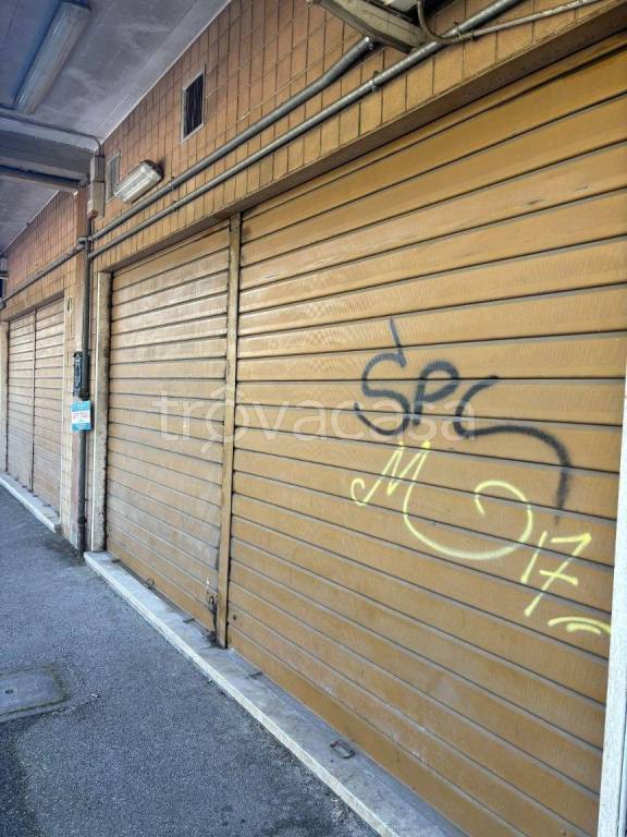 negozio in affitto a Colleferro