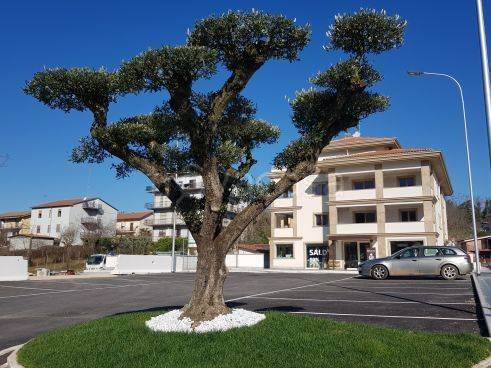 negozio in affitto a Colleferro