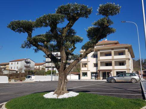 locale commerciale in affitto a Colleferro