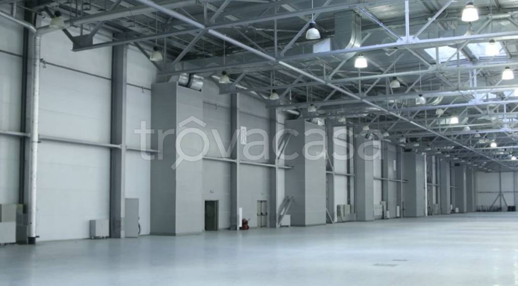 capannone in affitto a Colleferro