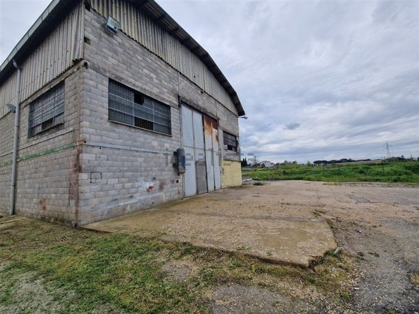 capannone in affitto a Colleferro