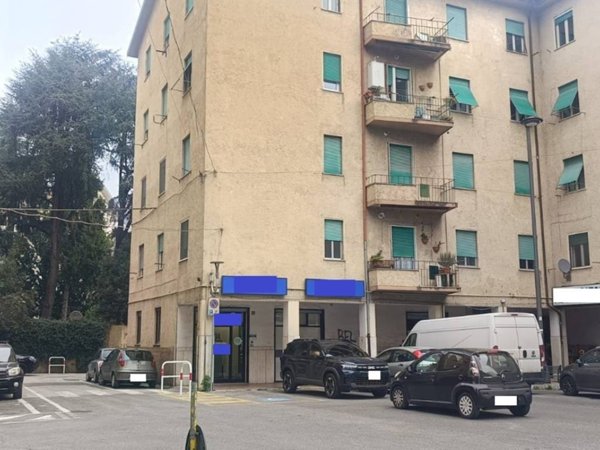 negozio in affitto a Colleferro