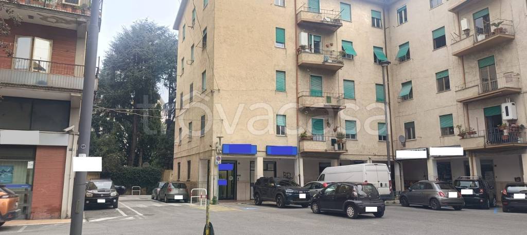 negozio in affitto a Colleferro