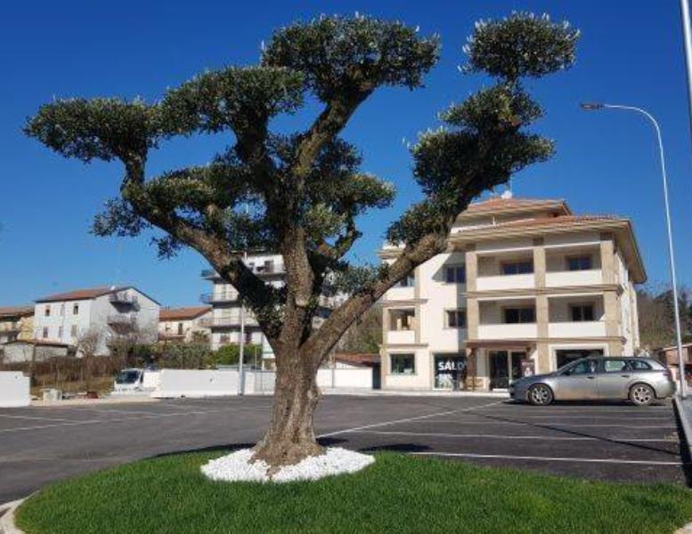 appartamento in affitto a Colleferro