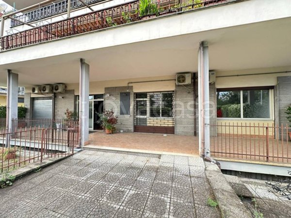 negozio in affitto a Colleferro