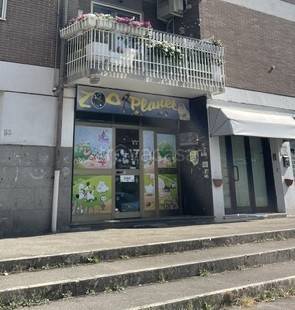 negozio in affitto a Colleferro