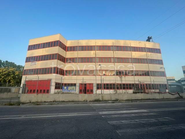ufficio in affitto a Colleferro