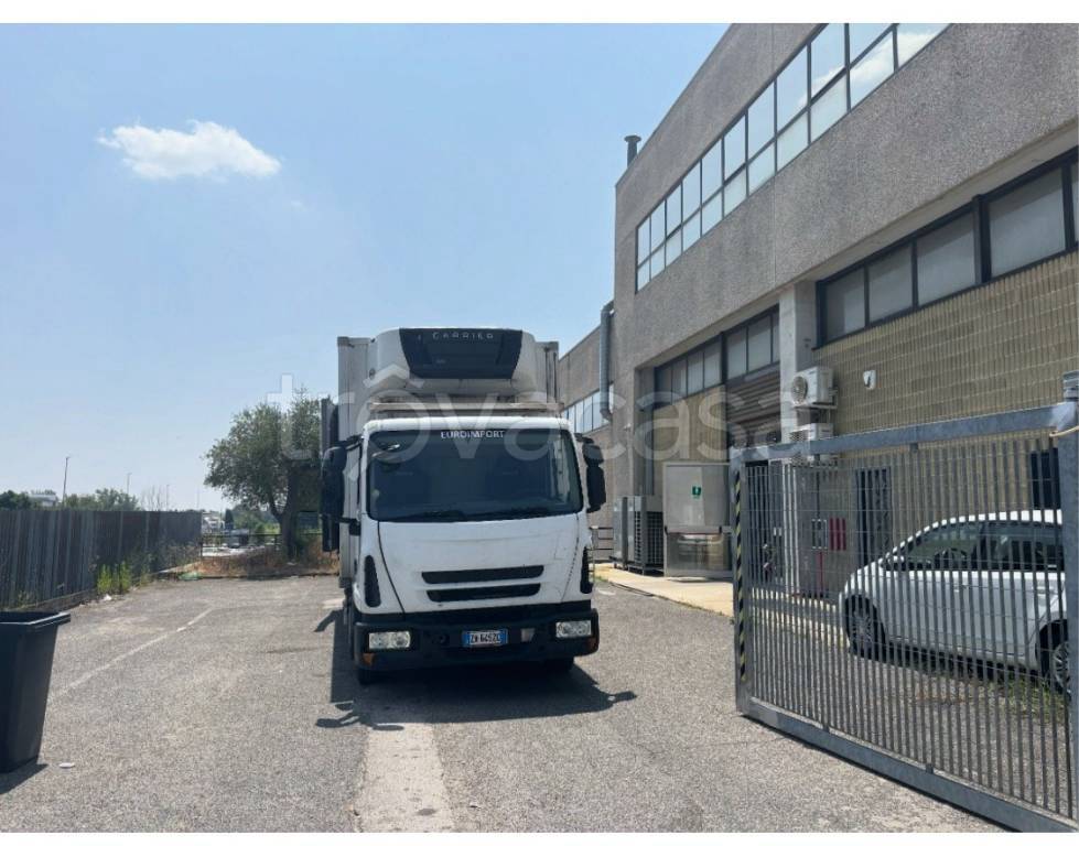 locale commerciale in affitto a Formello