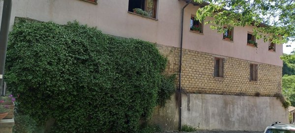 negozio in affitto a Formello