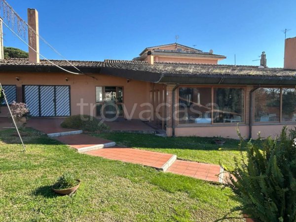 negozio in affitto a Formello