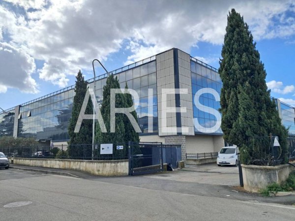 ufficio in affitto a Formello