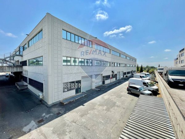 ufficio in affitto a Formello