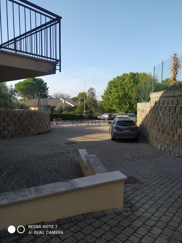 appartamento in affitto a Frascati