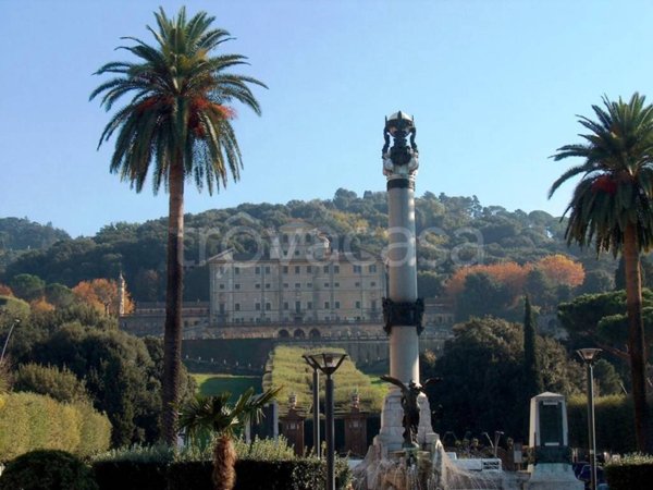 appartamento in affitto a Frascati