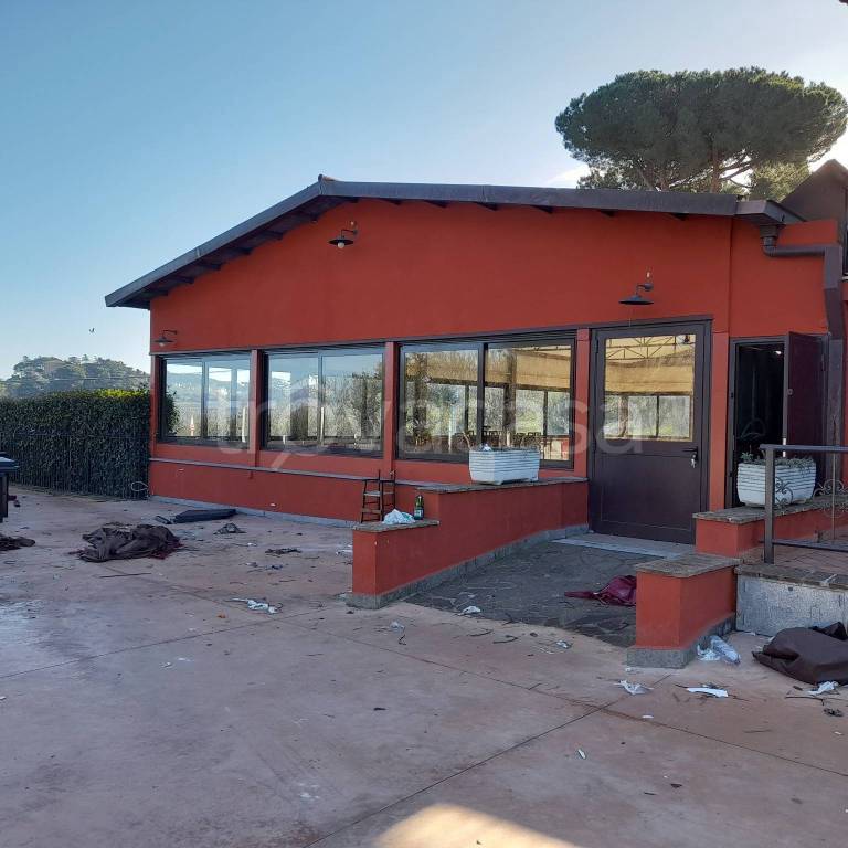 negozio in affitto a Frascati
