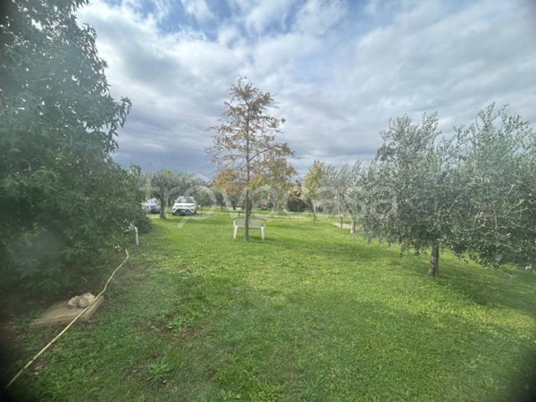 appartamento in affitto a Frascati