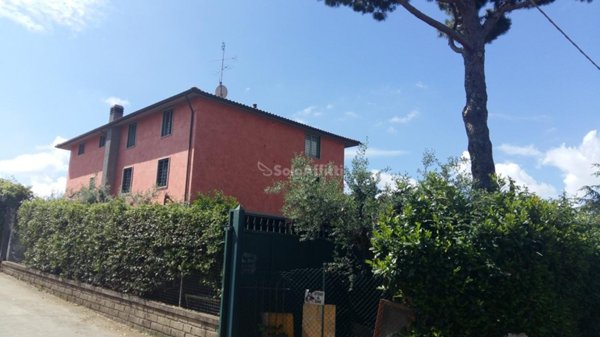 mansarda in affitto a Frascati