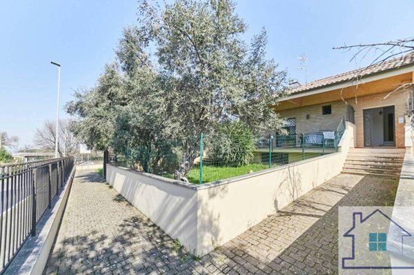 appartamento in affitto a Frascati