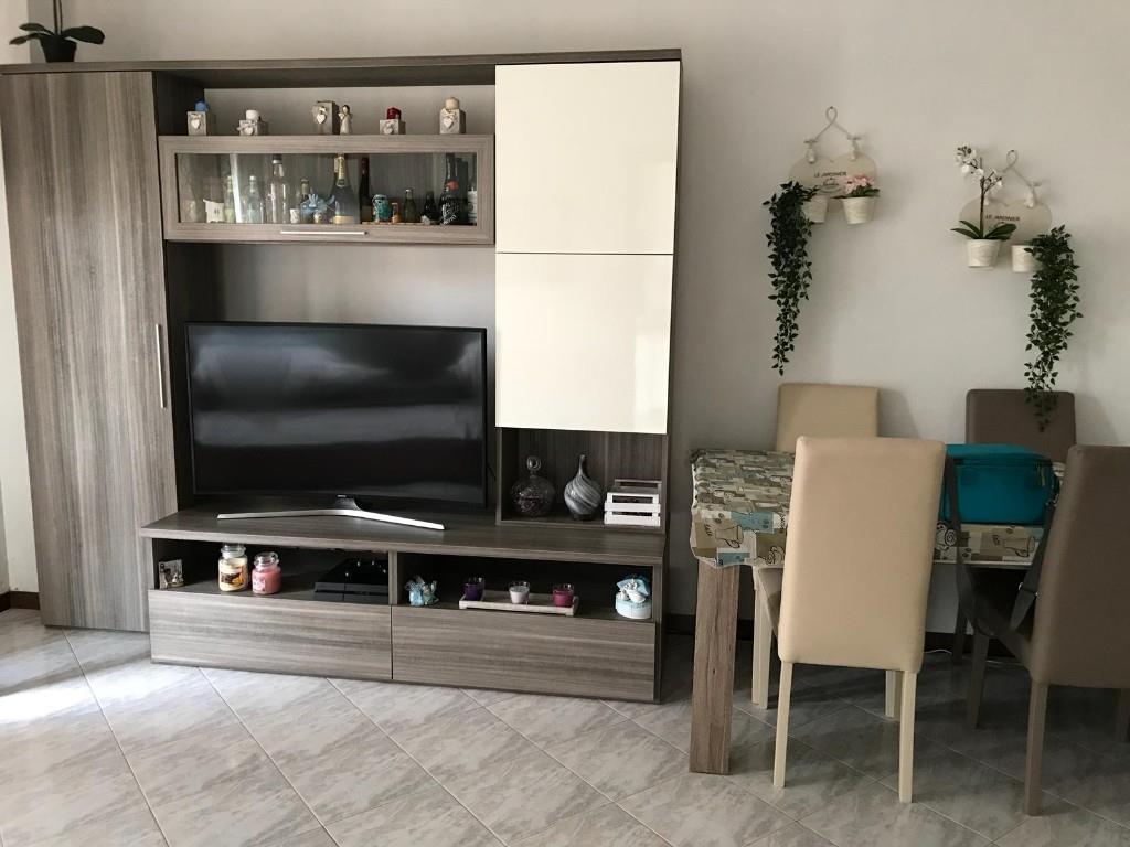 appartamento in affitto a Frascati