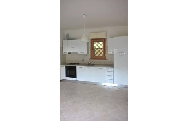 appartamento in affitto a Frascati