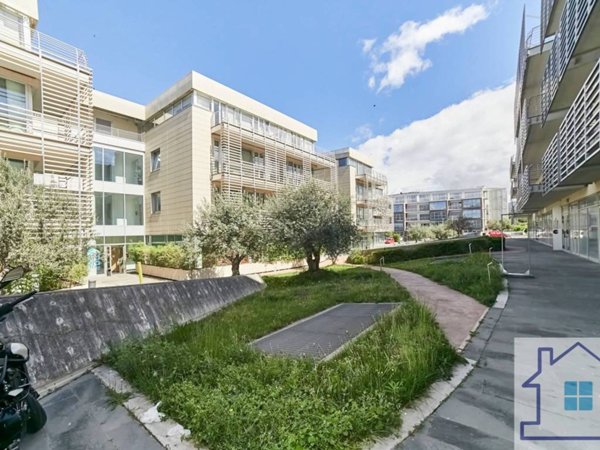 ufficio in affitto a Frascati
