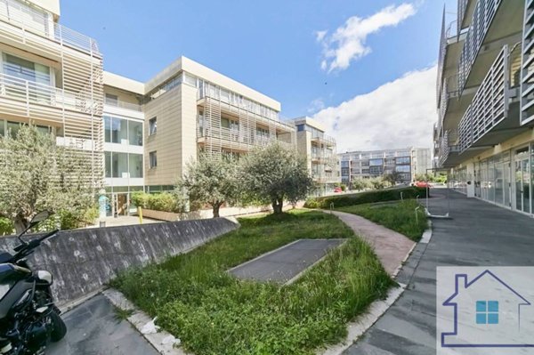 ufficio in affitto a Frascati