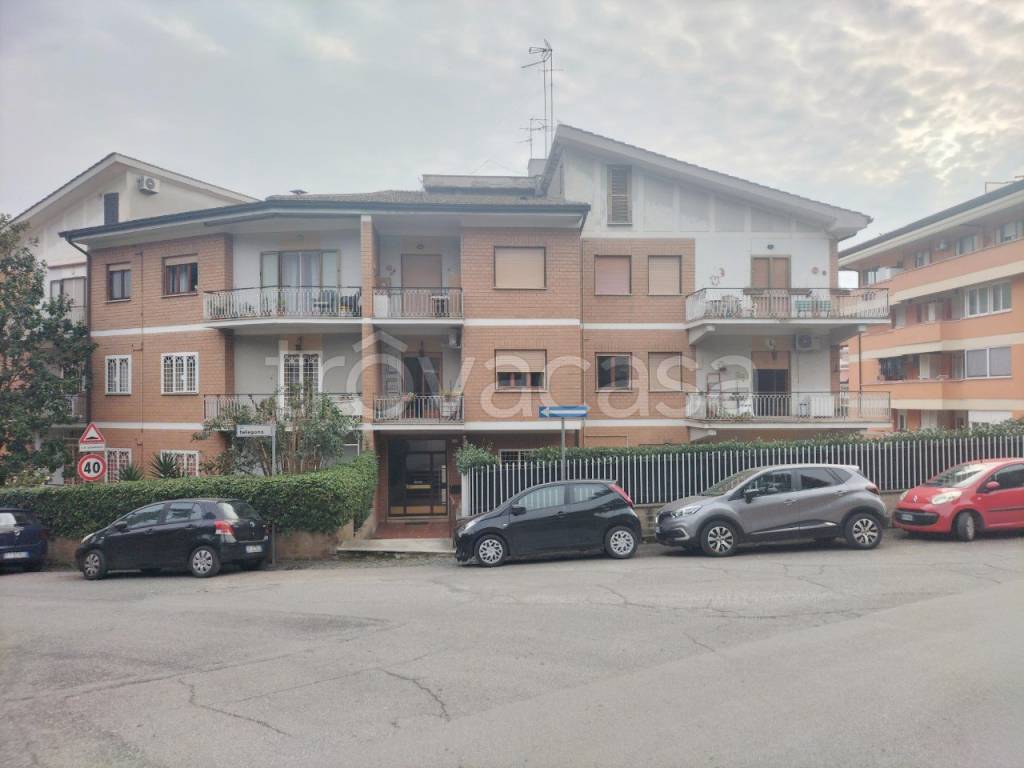 appartamento in affitto a Frascati
