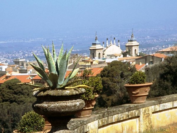 trivano in affitto a Frascati