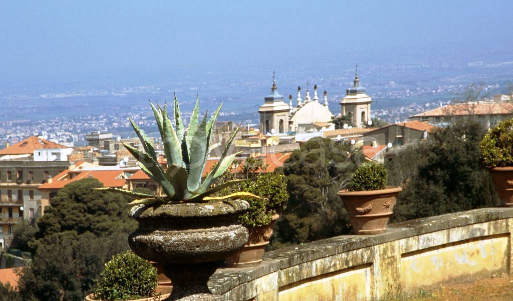 trivano in affitto a Frascati