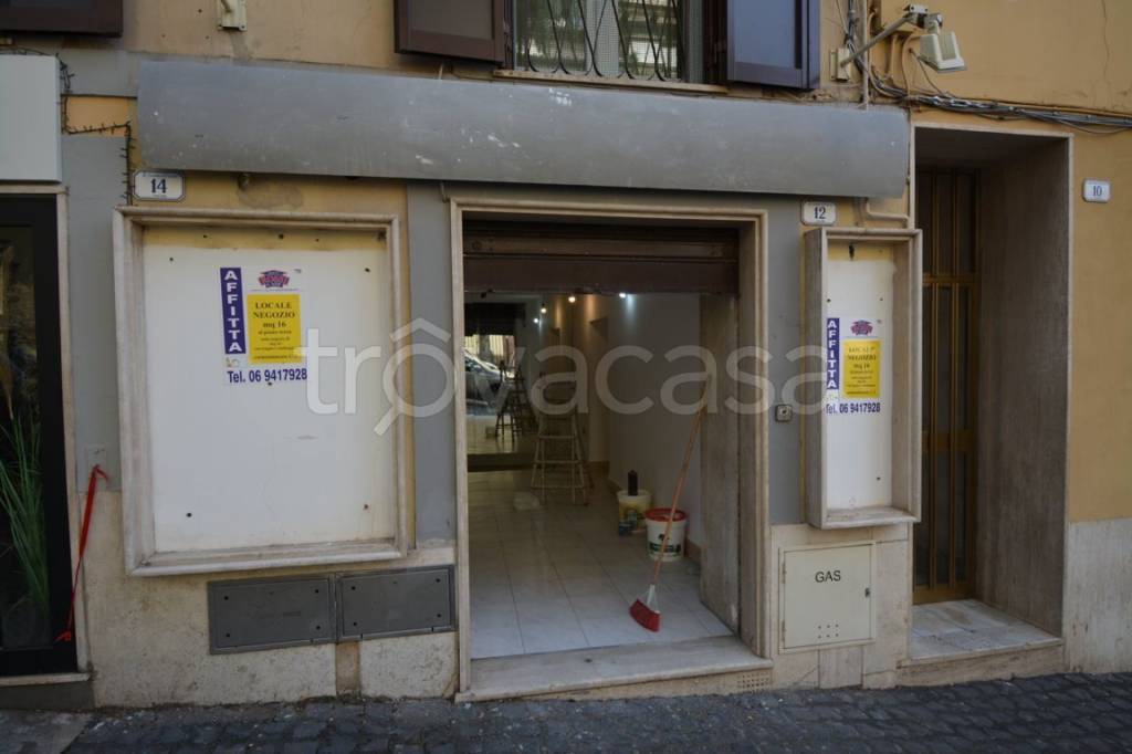 monolocale in affitto a Frascati