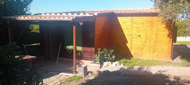 appartamento in affitto a Frascati