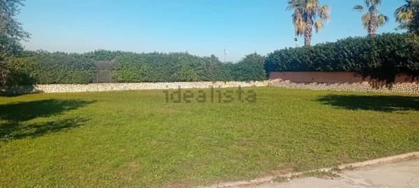 appartamento in affitto a Frascati