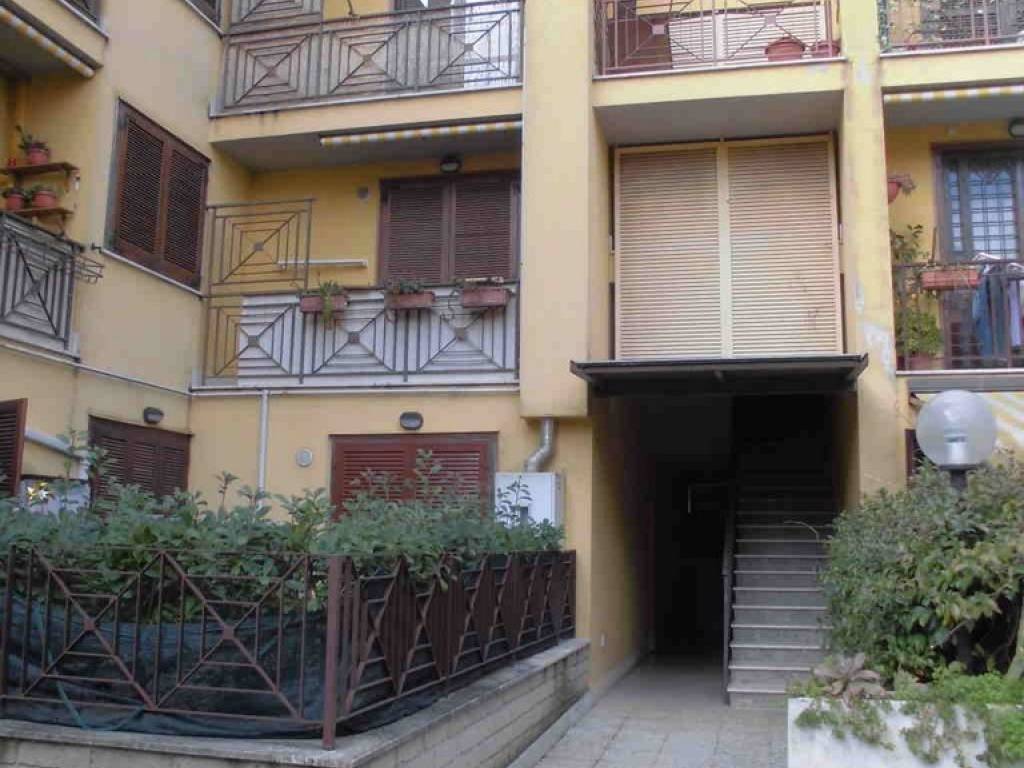 appartamento in affitto a Frascati