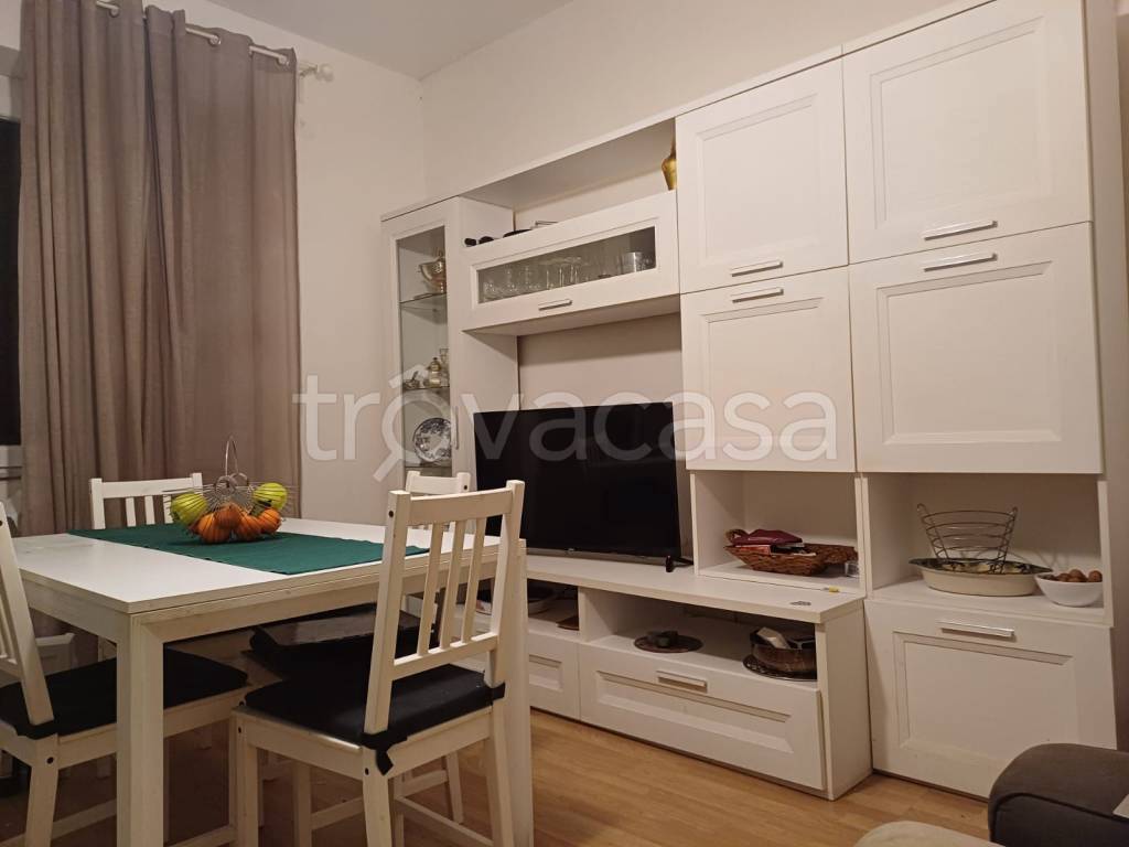 appartamento in affitto a Frascati