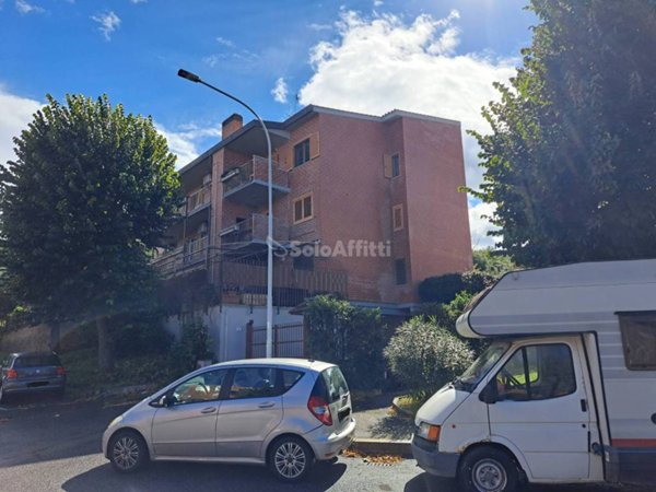 appartamento in affitto a Frascati