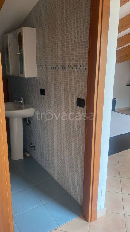 appartamento in affitto a Frascati