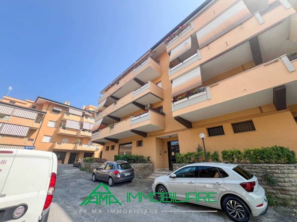 appartamento in affitto a Frascati