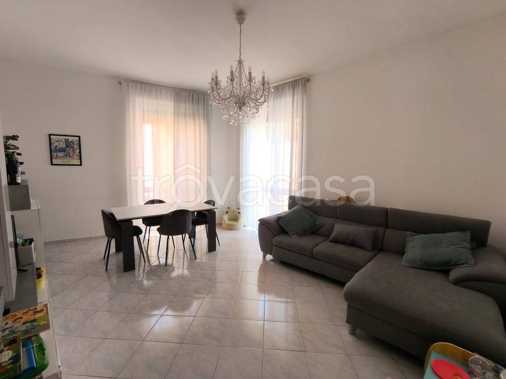 appartamento in affitto a Frascati