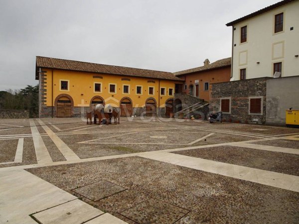 appartamento in affitto a Frascati