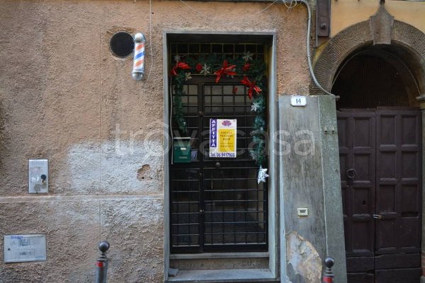 negozio in affitto a Frascati