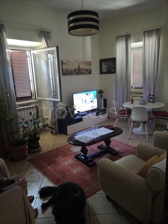 appartamento in affitto a Frascati