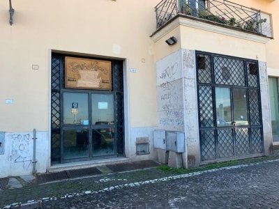 negozio in affitto a Frascati