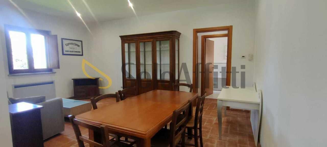 appartamento in affitto a Frascati
