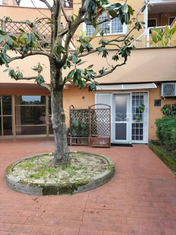 appartamento in affitto a Frascati