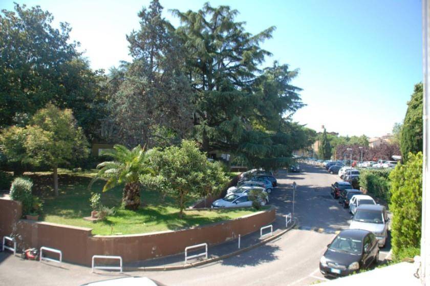 appartamento in affitto a Frascati